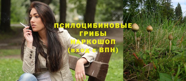 ГАЛЛЮЦИНОГЕННЫЕ ГРИБЫ Нея