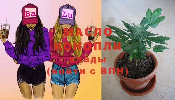 гидра Михайлов