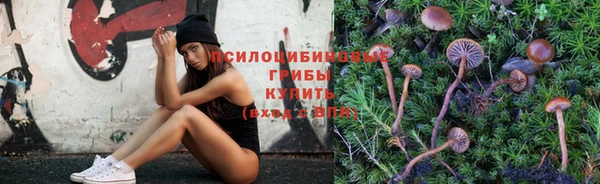 герыч Надым