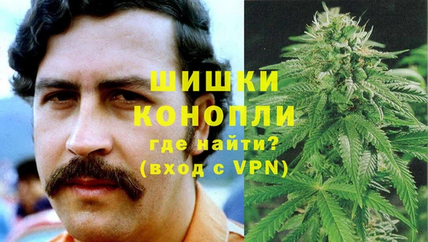 ГАЛЛЮЦИНОГЕННЫЕ ГРИБЫ Нея