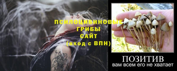 ГАЛЛЮЦИНОГЕННЫЕ ГРИБЫ Нея
