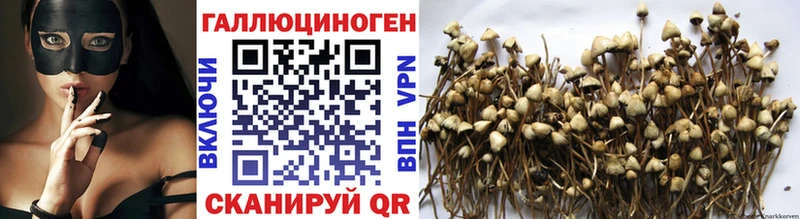 Псилоцибиновые грибы Psilocybine cubensis  omg как зайти  Алапаевск 