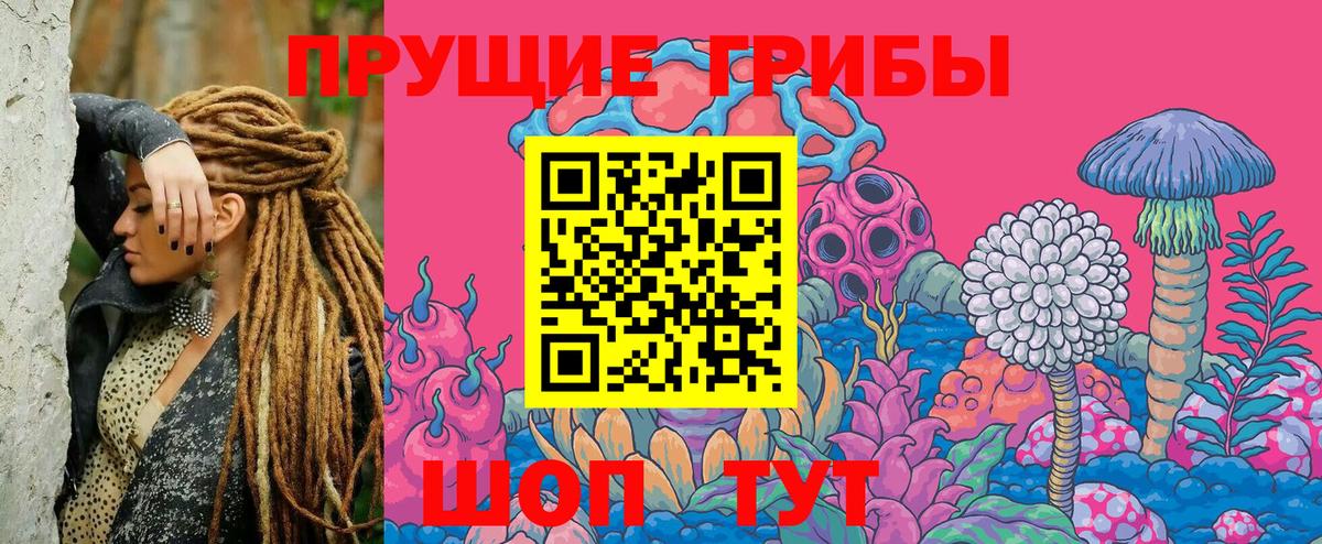 Алапаевск  Галлюциногенные грибы Psilocybe  Вход с VPN 