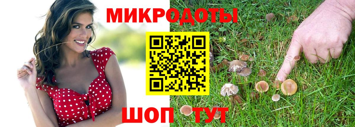 Псилоцибиновые грибы Magic Shrooms  Алапаевск  Галлюциногенные грибы мухоморы 